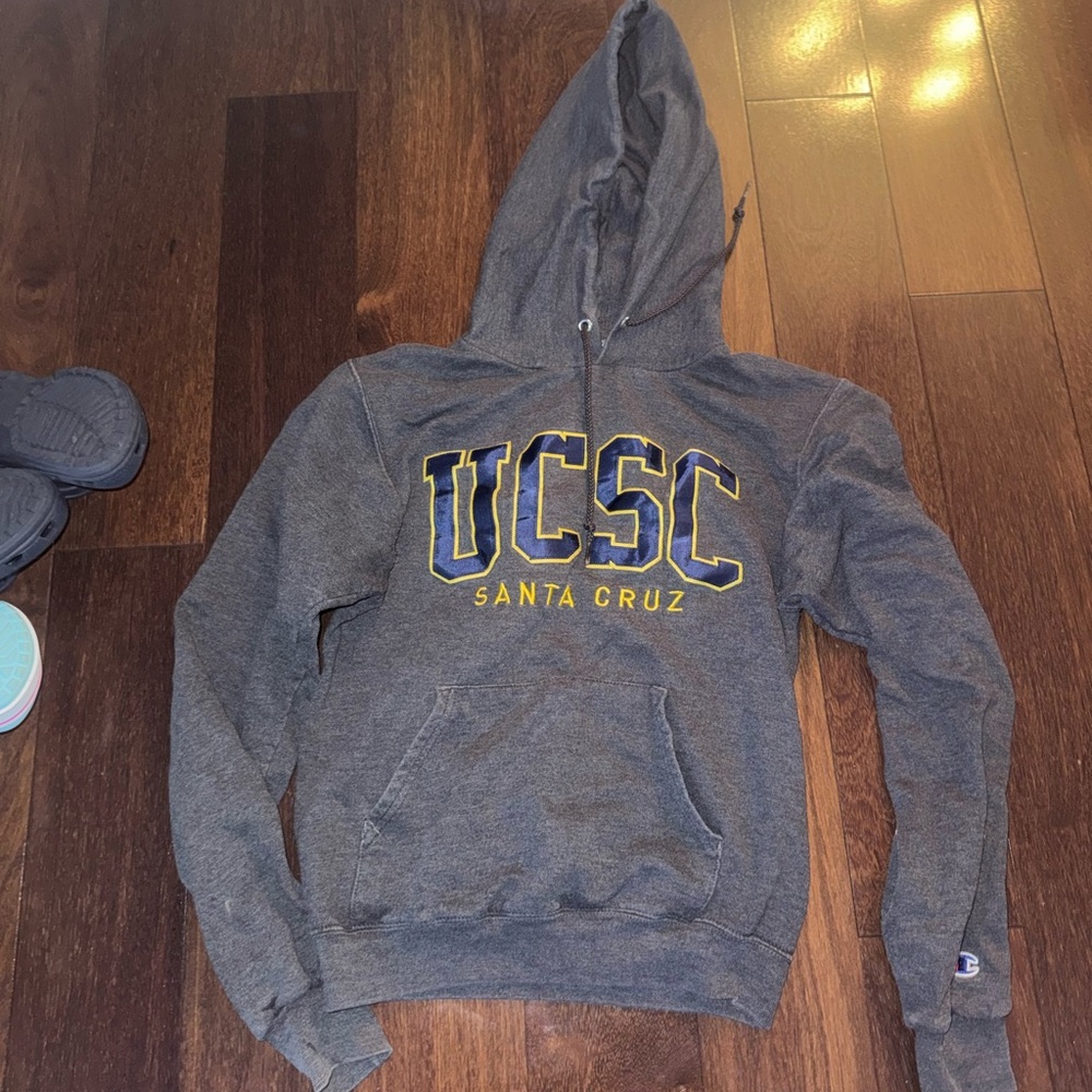 Champion Gray UCSC Santa Cruz Hoodie